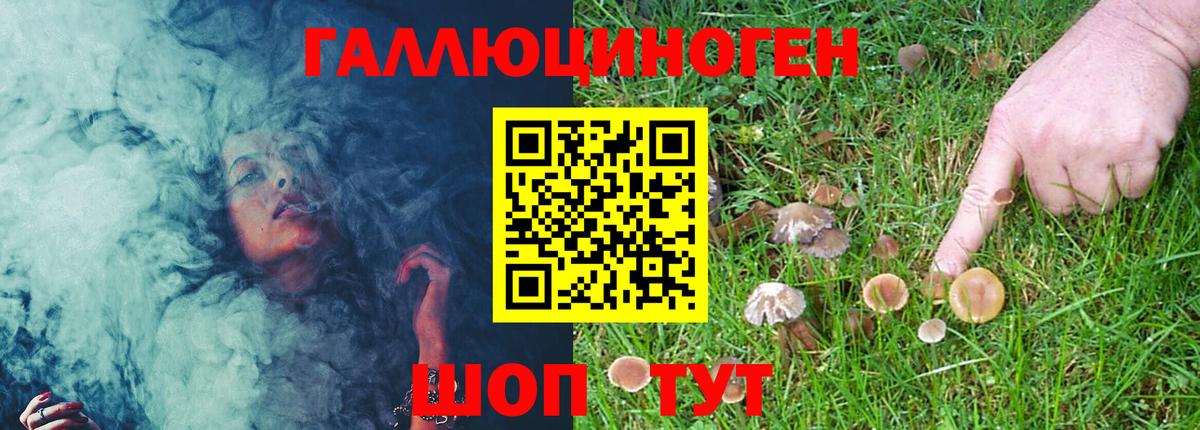 Псилоцибиновые грибы MAGIC MUSHROOMS Обнинск