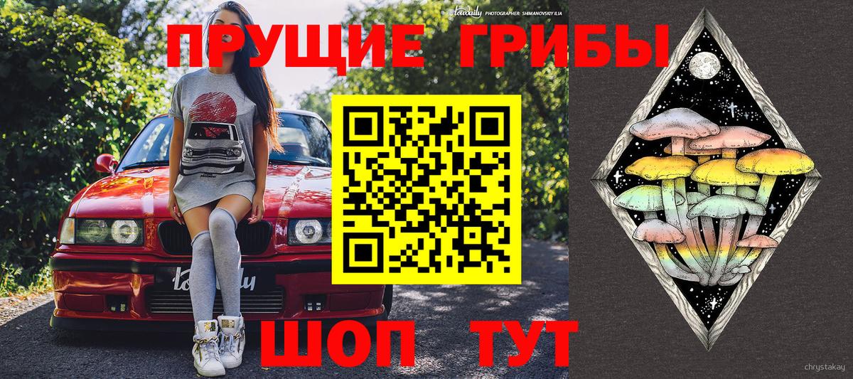 Псилоцибиновые грибы Psilocybe  Вход с VPN  Обнинск 